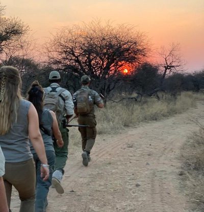 Field Guide training safari walks